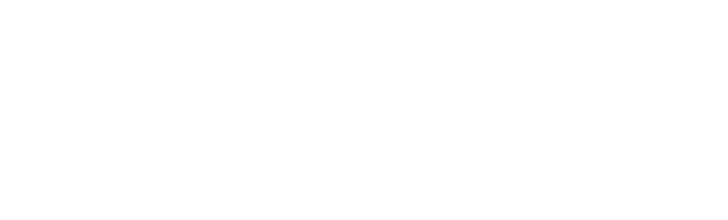 Mega Studios - Your Digital Partner